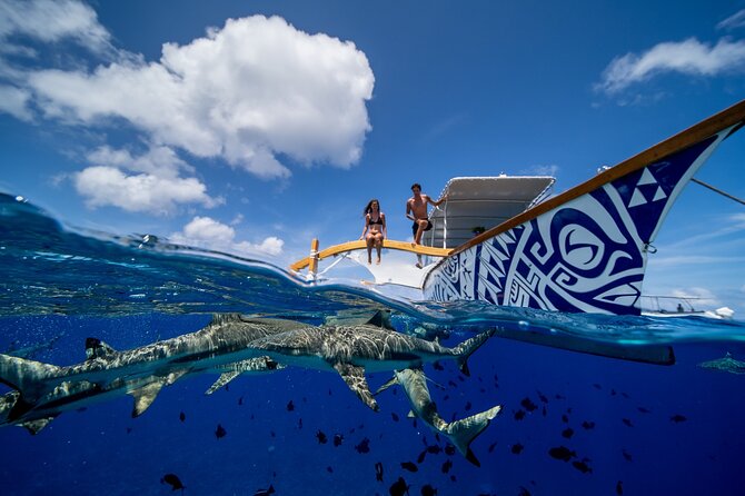 Luxury Private full day tour & Motu lunch in Bora-Bora - Sting rays, sharks, and the coral garden, what to focus on