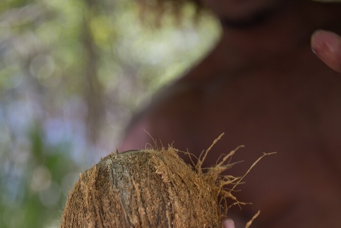 Luxury Private full day tour & Motu lunch in Bora-Bora - Local Polynesian guides and the onboard ukulele or pahu vibe