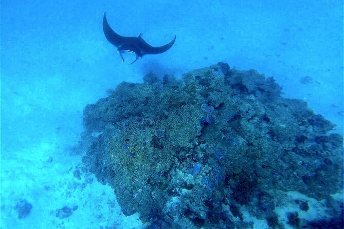 Magical Boat Tour with Underwater Cabin in Bora Bora! - The 3-hour plan: pickup, lagoon cruise, return to your morning