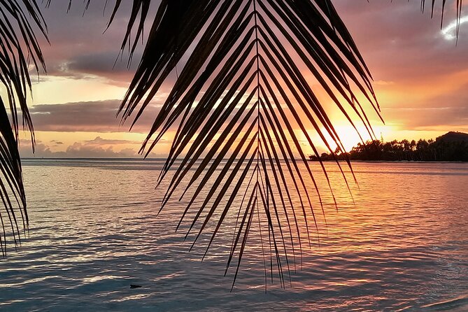 Magical Boat Tour with Underwater Cabin in Bora Bora! - Fruit, coffee, tea, and those refreshing drinks