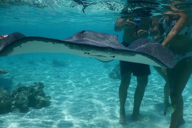 Medium Combo in Moorea of 2 hours of Jetski and 2h30 of Quad - Opunohu Lagoon on a jet ski: blue water, motus, and marine life time