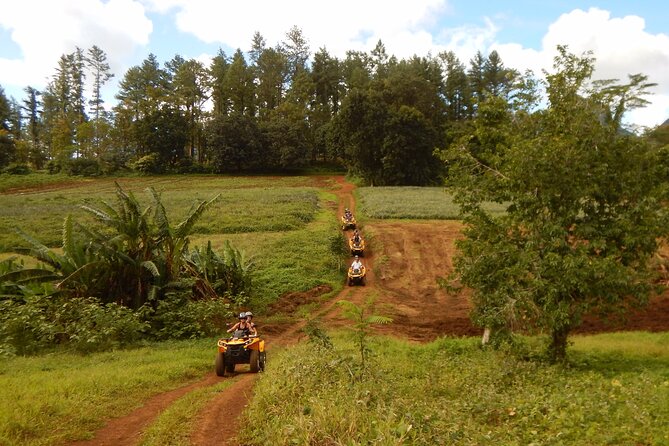 Medium Combo in Moorea of 2 hours of Jetski and 2h30 of Quad - Moorea on the quad: pineapple valleys, creeks, and Belvedere views