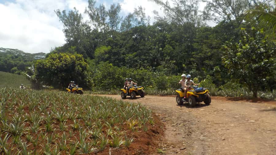 Mo'orea: Guided ATV Nature Tour - Key highlights to look for on this Mo’orea ATV tour