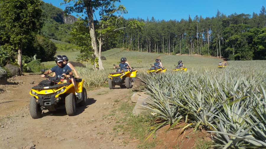 Mo'orea: Guided ATV Nature Tour - Why an ATV tour is one of the fastest ways to see Mo’orea well