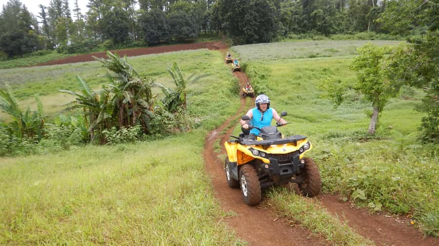 Mo'orea: Guided ATV Nature Tour - Plantation roads, pineapple fields, and river crossings that shape the experience
