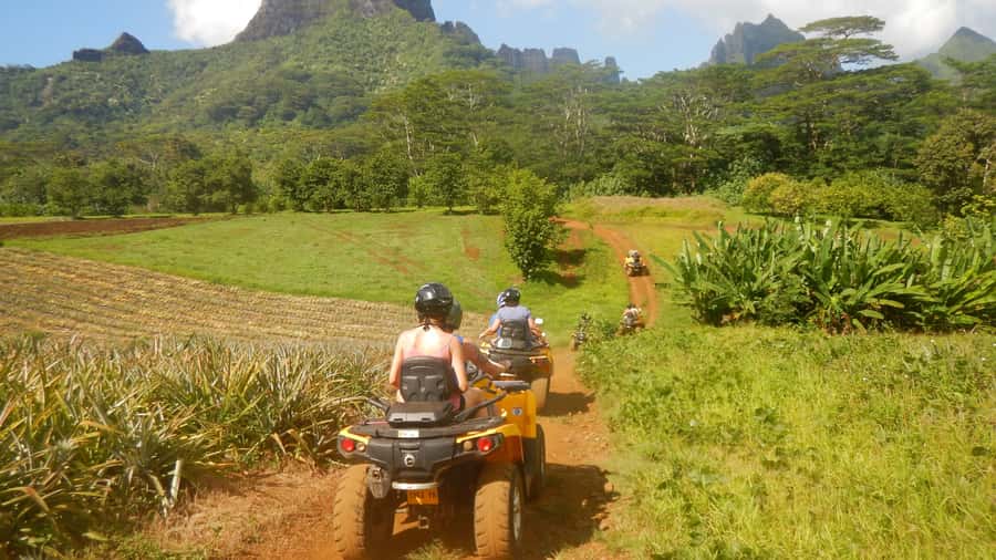 Mo'orea: Guided ATV Nature Tour - Price and value: is $123 worth it for this ATV day?