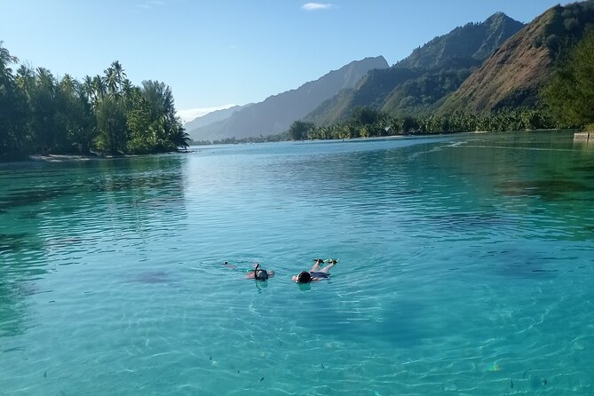 Mo'orea Half Day Private Tour with Snorkeling and Cruising the Lagoon - Cruising the uncrowded west coast toward a secret coral garden