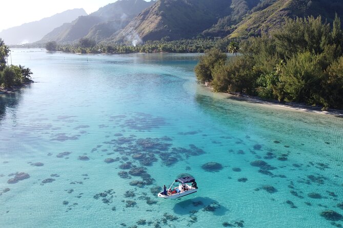 Mo'orea Half Day Private Tour with Snorkeling and Cruising the Lagoon - Dolphin and surfer spotting, plus a final refuel stop