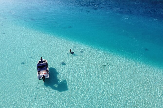 Mo'orea Half Day Private Tour with Snorkeling and Cruising the Lagoon - Snorkeling gear, timing, and how to get better sightings