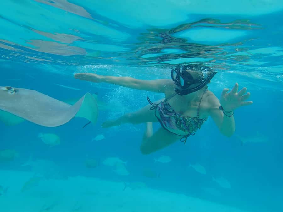 Moorea 4H Shared Boat Tour Whale Swimming and Snorkeling - Should you book this Moorea whale swimming and snorkeling tour?