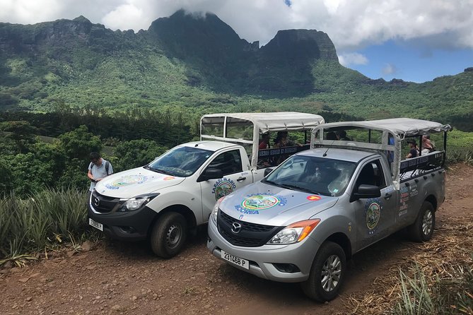 Moorea 4WD Tour Inc. Belvedere, Pineapple Farm, Magic Mountain... - Key highlights that make this Moorea 4WD tour worth it