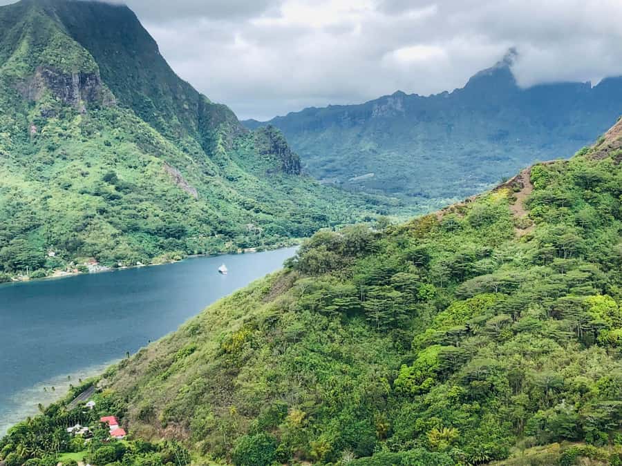 Moorea:4X4 safari excursion between land and sea with lunch - Belvedere bay views and the Rotui tasting stop