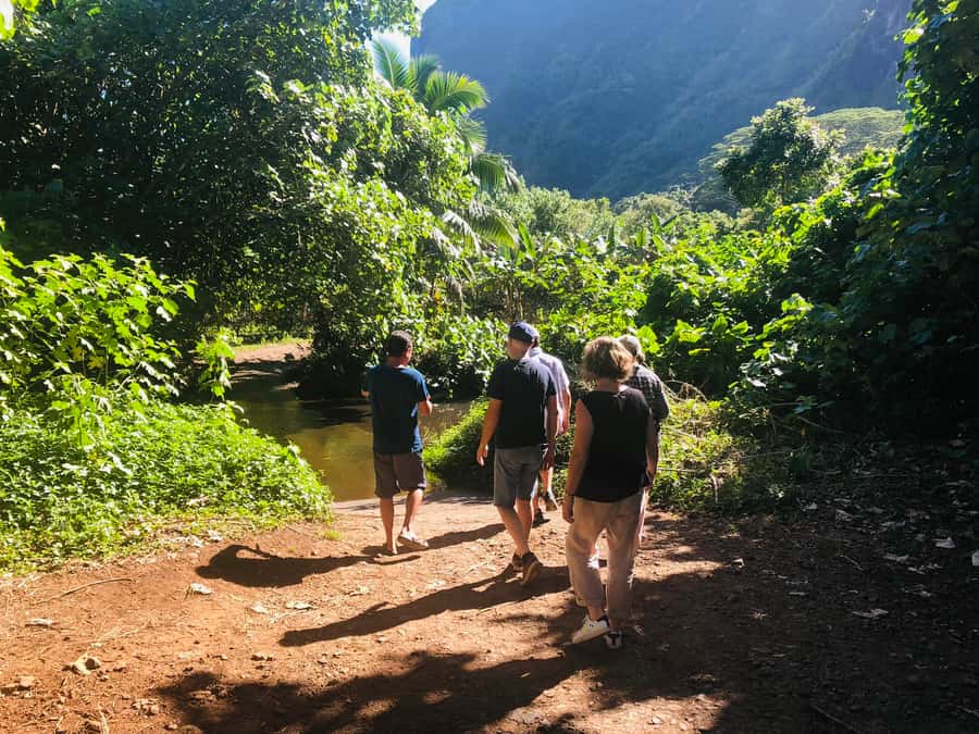 Moorea:4X4 safari excursion between land and sea with lunch - Tropical garden lunch with a 360° view, coconut show, and local music