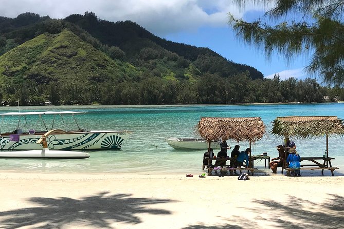 Moorea 6-Hour Snorkeling and Lunch Shared Tour - Stingrays and black-tip reef sharks, what the shallow-water encounters really mean