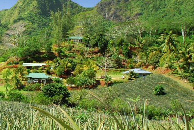 Moorea Aito 4WD Safari Tour - Half day - Marae temple ruins: where the island tells older stories