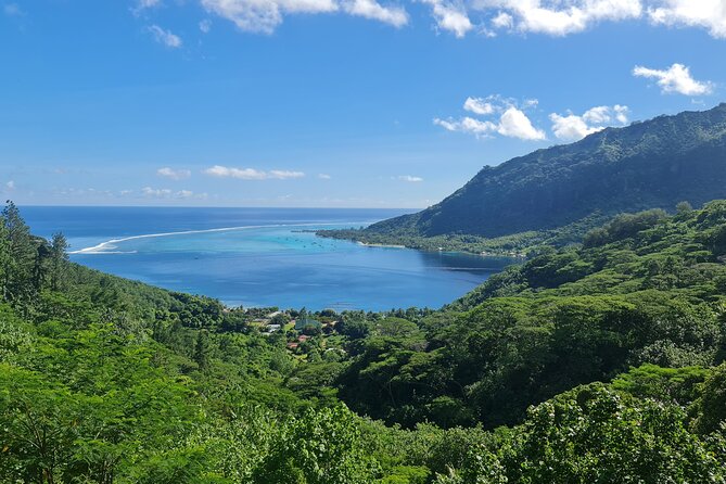 Moorea Aito 4WD Safari Tour - Half day - Homemade jams, Rotui factory timing, and eel encounters