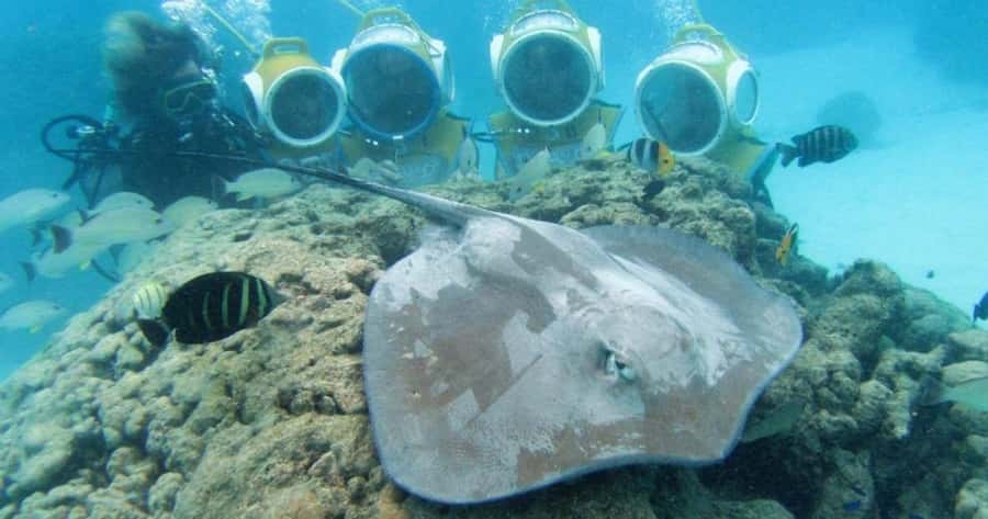 Moorea: Aquablue Helmet Underwater Walking Experience - First Stop: Meeting Aquablue Moorea and Getting Ready