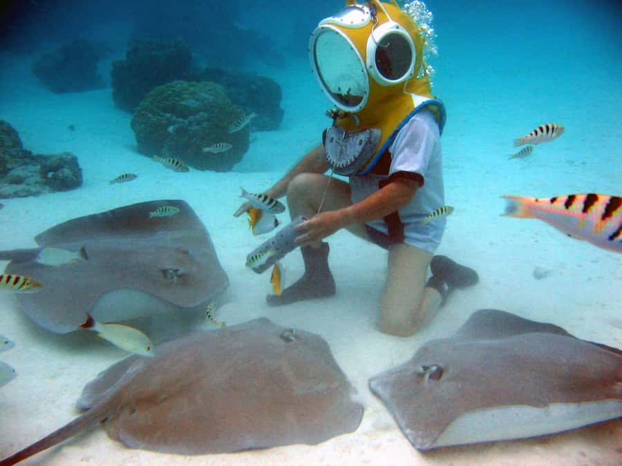 Moorea: Aquablue Helmet Underwater Walking Experience - Price and Time: Is $103 Worth It for Moorea?
