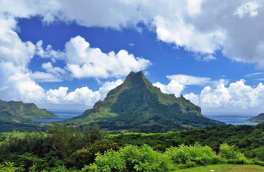 Moorea Cruise Ships 4x4, Belvedere Magic mount PRIVATE Tours - Magic Mountain lookout: the payoff for the 4WD