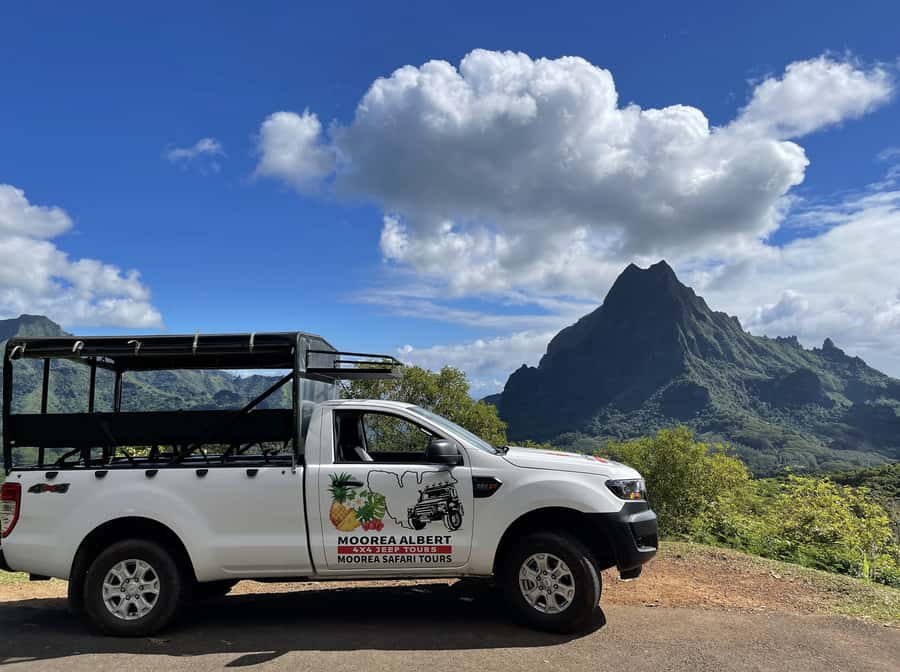 Moorea Cruise Ships: 4x4, Belvedere,Magic Mountain pineaple - Rivers and fresh water eel feeding: the stop that breaks up the scenery