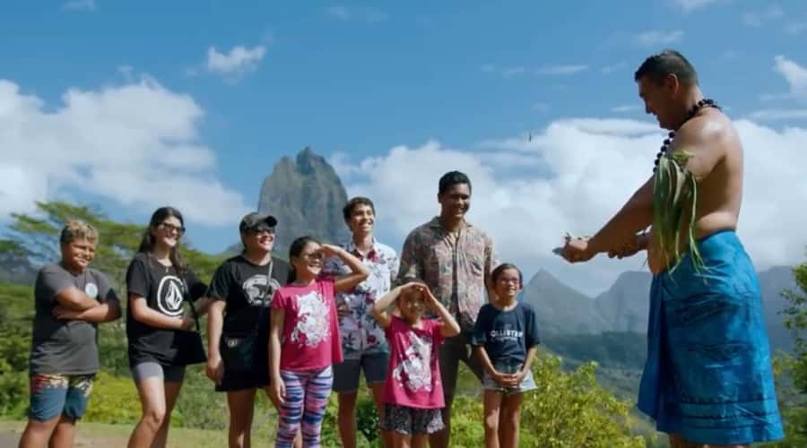 Moorea Cruise Ships: 4x4, Belvedere,Magic Mountain pineaple - Cook’s Bay and the pineapple plantation: where the island taste becomes real