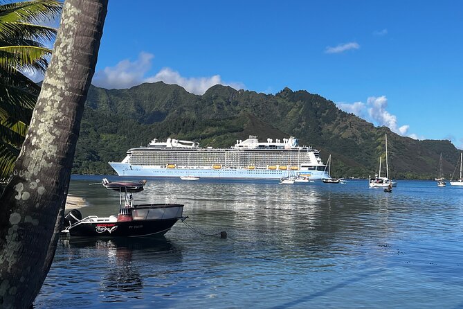 Moorea Cruise Ships: 4x4, Belvedere, Pineapple, & Magic Mountain - ’Opunohu Bay and pineapple fields: seeing Moorea’s valleys up close