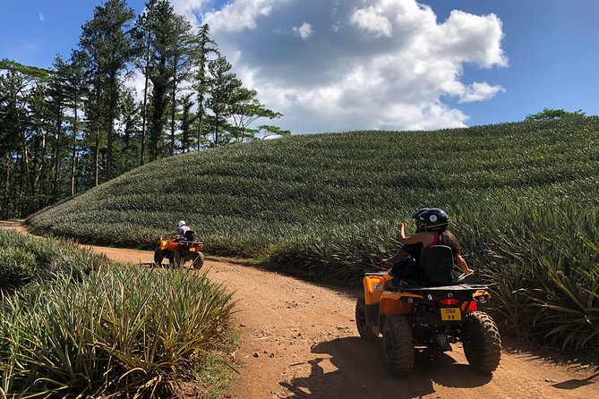 Moorea Explorer Atv Quad Tour - Belvedere Lookout: Two Bays and Mount Rotui