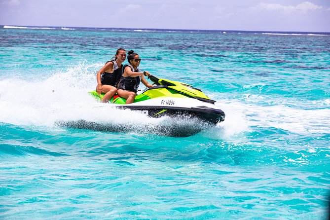 Moorea Explorer Jet Ski tour - Wildlife odds: dolphins are the main event, with whales and sharks as bonus
