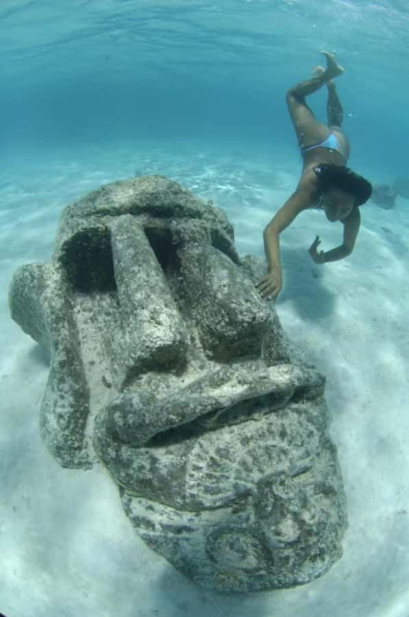 Moorea: Glass Bottom Boat Adventure with Lagoon Wonders - Private Motu Lunch: Rum, Raw Fish Salad, and Fresh Catch