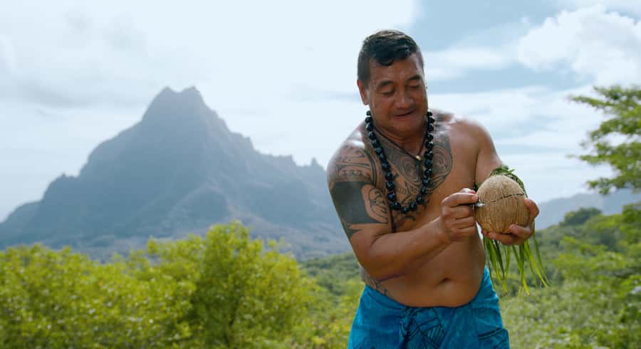 Moorea: Half-Day Open-Air 4WD Safari with Hotel Transfers - Belvedere Lookout and Cook’s Bay: The Stops for the Big Photos