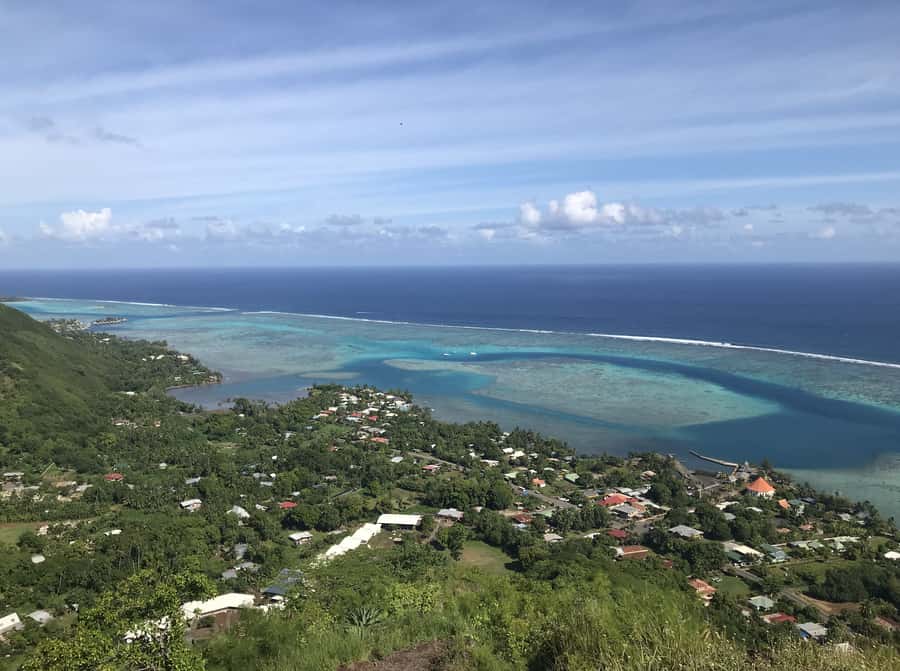 Moorea: Half-Day Open-Air 4WD Safari with Hotel Transfers - The Eels-and-River Moment You’ll Remember