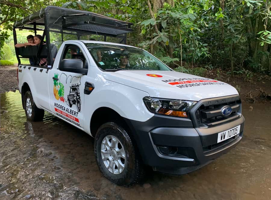 Moorea: Half-Day Open-Air 4WD Safari with Hotel Transfers - Weather, Walking, and Who Should Skip This One