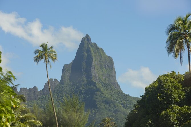 Moorea Highlights Private Tour: Natural and Cultural Attraction - Key Highlights You Can Plan Around