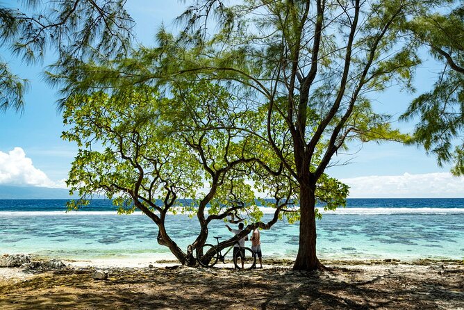 Moorea Highlights Private Tour: Natural and Cultural Attraction - The Price, the Group Size, and the Real Value