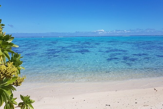 Moorea Highlights Private Tour: Natural and Cultural Attraction - Rotui Juice Factory and Distillery, Taste the Island Instead of Just Seeing It
