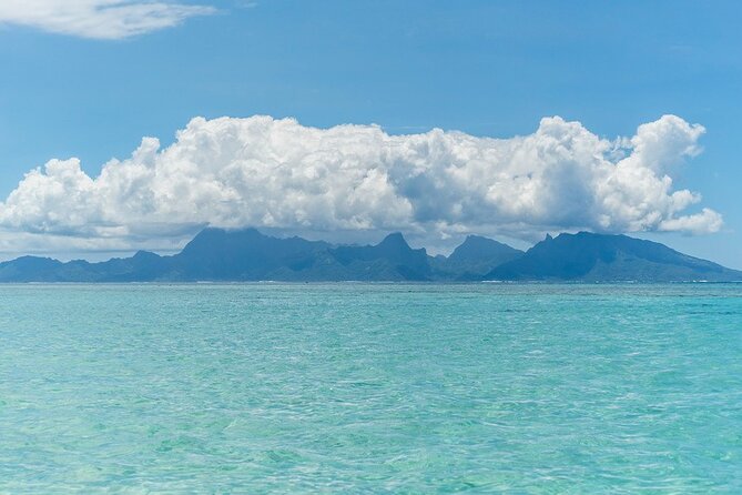 Moorea Highlights Private Tour: Natural and Cultural Attraction - Cook’s Bay and Its Viewpoints, for When You Want the Dramatic Version
