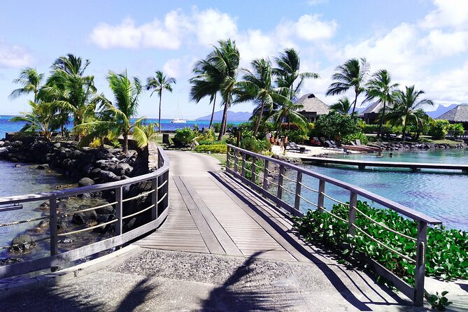 Moorea Highlights Private Tour: Natural and Cultural Attraction - Route des Ananas and Marae Titiroa, Fruits and Faith in One Breath