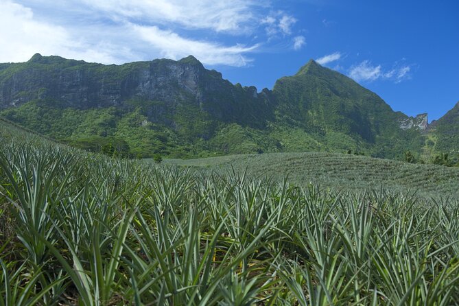 Moorea Highlights Private Tour: Natural and Cultural Attraction - Getting There From Tahiti, Without Surprise Stress