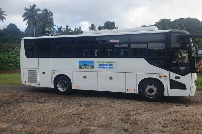 Moorea Island Tour - A Half-Day Circle Island Feel in About 3 Hours