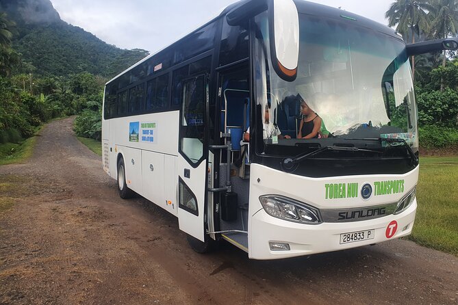Moorea Island Tour - Port Pickup, Coach Comfort, and the AC Reality Check
