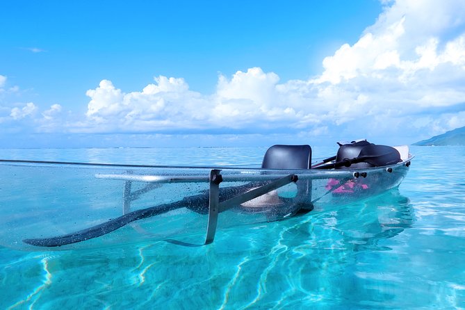 Moorea Lagoon Tour by Transparent Kayak - Guide Style, Small-Group Energy, and Names You May Hear
