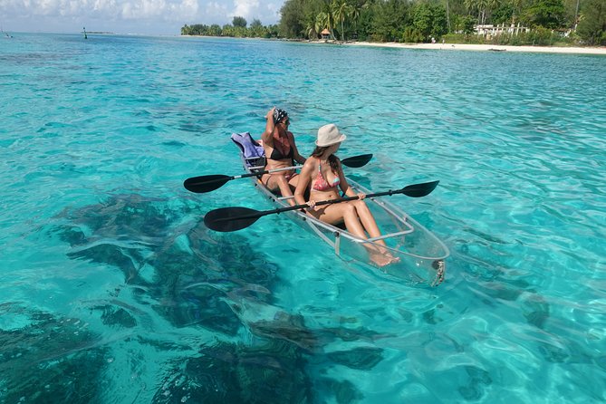 Moorea Lagoon Tour by Transparent Kayak - Getting There: The InterContinental Meeting Point and Timing