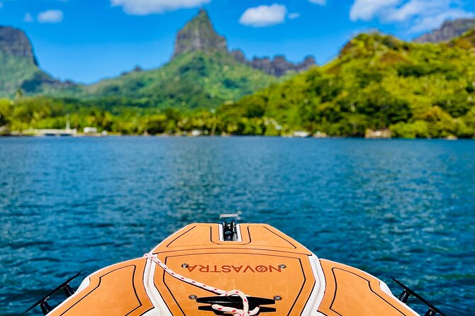 Moorea: Private 4-Hour High-End Boat Excursion - Cook’s Bay and Opunohu Bay viewpoints, Tahiti mountains and pineapple fields