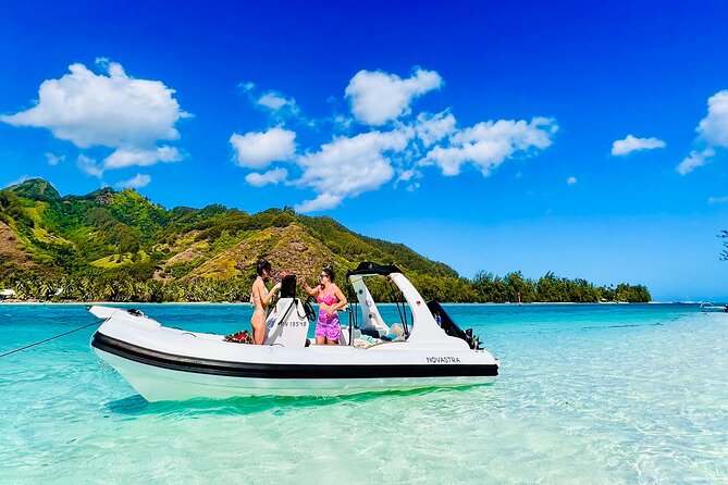 Moorea: Private 4-Hour High-End Boat Excursion - Snorkeling at the ray and shark sandbank, stingrays and black-tipped sharks