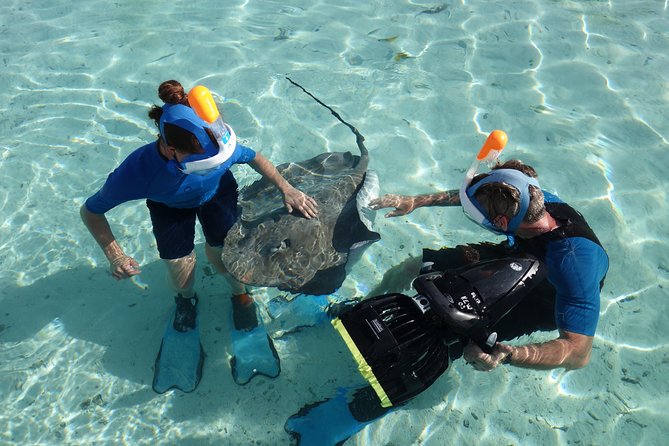Moorea Private Boat Tour / Sea Scooter Snorkeling Tour - The Moorea Water Games Start: Equipment, Wetsuit, and Briefing
