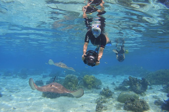 Moorea Private Boat Tour / Sea Scooter Snorkeling Tour - Reviews Signal the Most Praised Bits You Should Expect