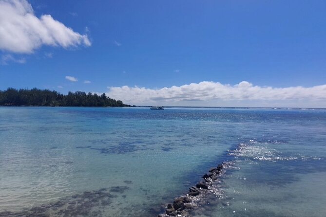 Moorea Private Full Day Tour - Belvedere Lookout and Opunohu Bay for the south and the north angles
