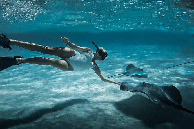 Moorea: Private Snorkeling Tour with Certify Guide - Key highlights you’ll care about