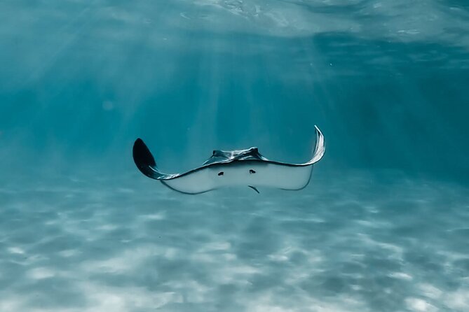 Moorea: Private Snorkeling Tour with Certify Guide - Entering Moorea from Plage de Tiahura: how the day starts