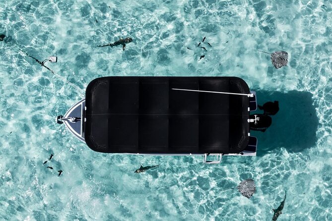 Moorea: Private Snorkeling Tour with Certify Guide - Price and value: what you’re really paying for